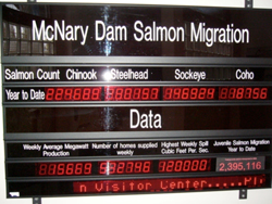 McNary Damの魚道を通過したサケの数を表示するパネル